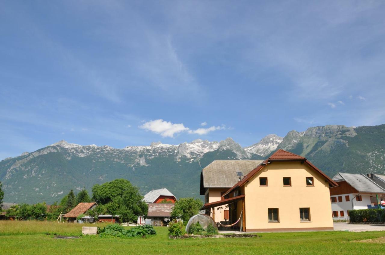 Apartma Jernej